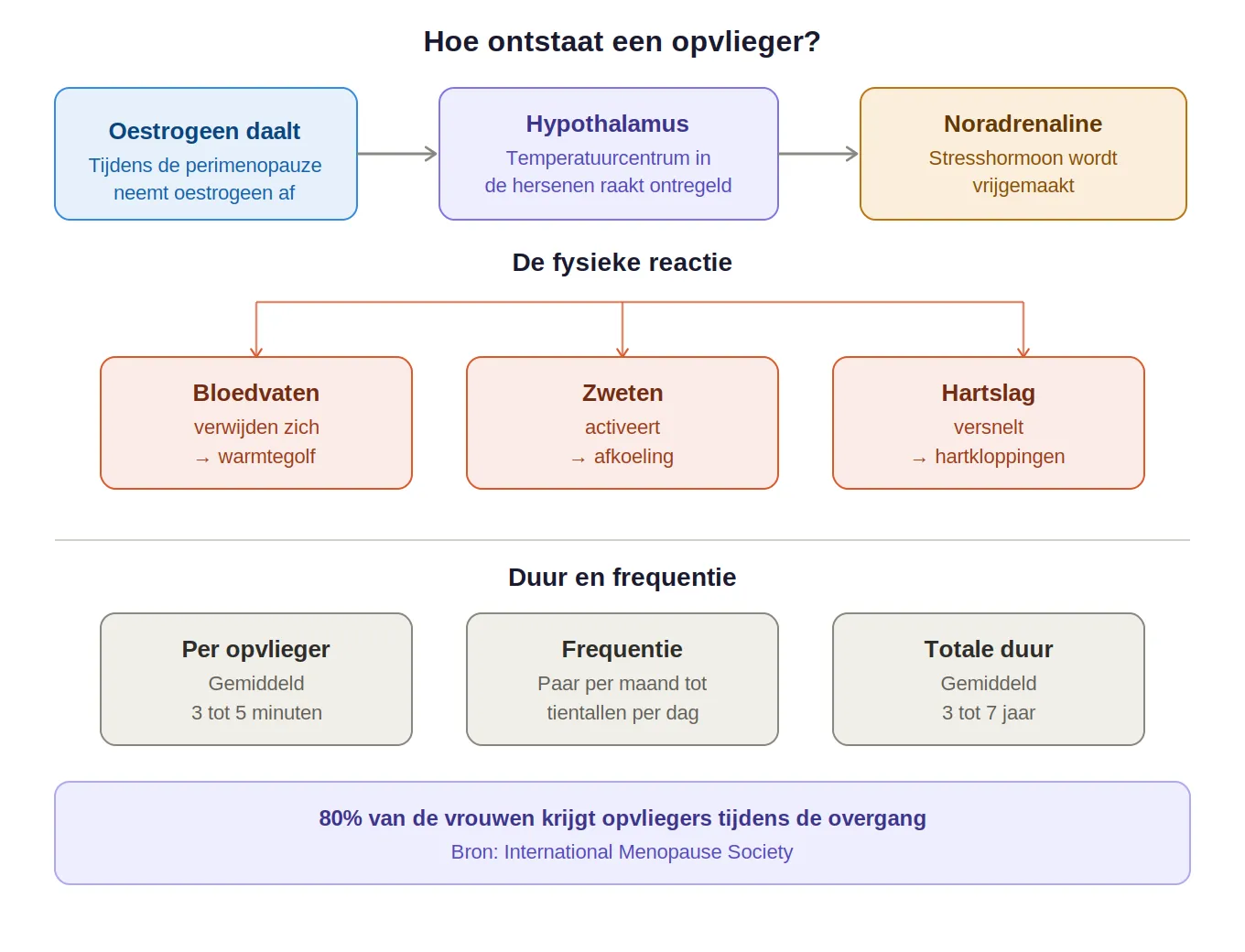 Opvlieger mechanisme uitgelegd I FemmPrex